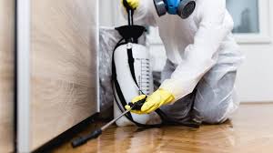 Best Emergency Pest Control  in Eldorado, TX